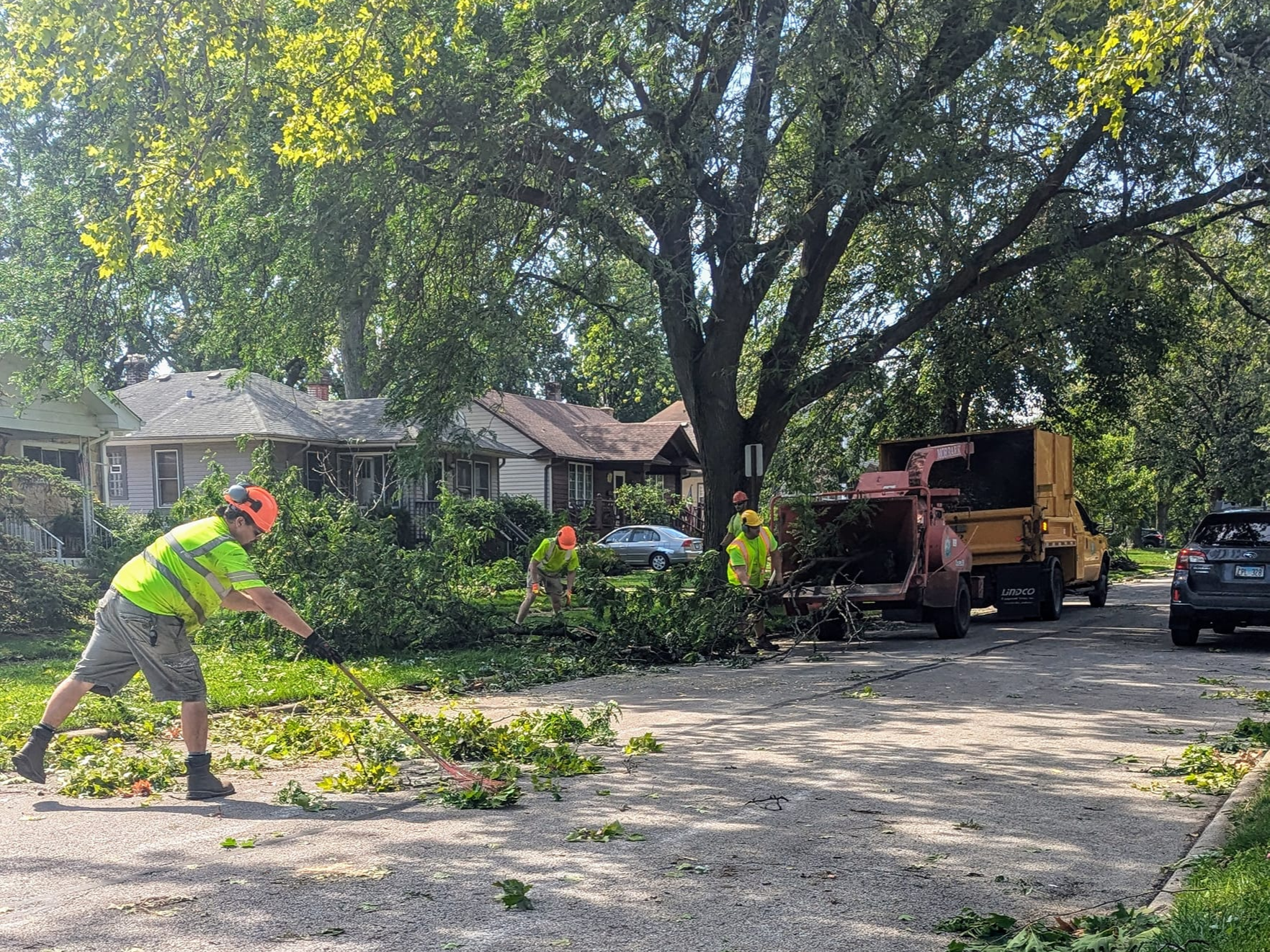 May be an image of 4 people and tree