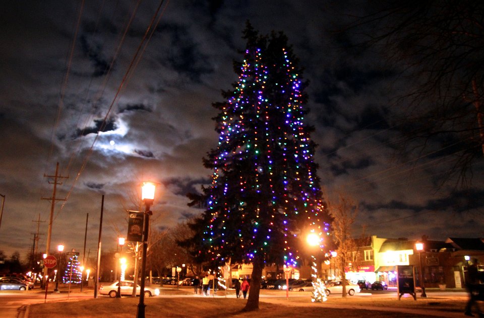 Joyful Traditions 2014