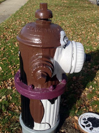 646 S. Euclid - Beagle