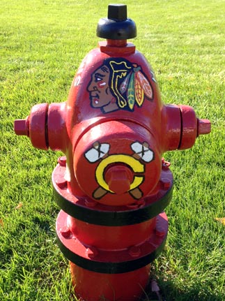 515 E. Van Buren - Blackhawks